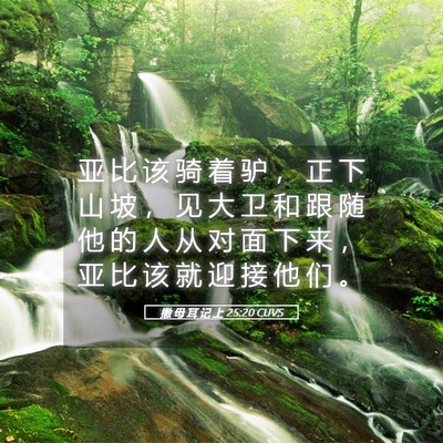 Picture 05 - 撒 母 耳 记 上 25:20 CUVS - 亚 比 该 骑 着 驴 ， 正 下 山 坡 ， - Bible Verse Picture