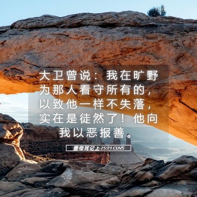 Picture 05 - 撒 母 耳 记 上 25:21 CUVS - 大 卫 曾 说 ： 我 在 旷 野 为 那 人 - Bible Verse Picture