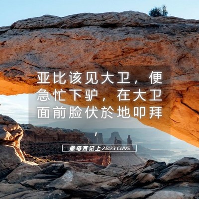Picture 05 - 撒 母 耳 记 上 25:23 CUVS - 亚 比 该 见 大 卫 ， 便 急 忙 下 驴 - Bible Verse Picture