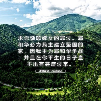 Picture 05 - 撒 母 耳 记 上 25:28 CUVS - 求 你 饶 恕 婢 女 的 罪 过 。 耶 和 - Bible Verse Picture