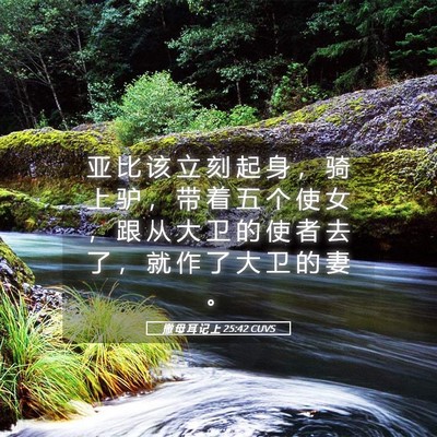 Picture 05 - 撒 母 耳 记 上 25:42 CUVS - 亚 比 该 立 刻 起 身 ， 骑 上 驴 ， - Bible Verse Picture