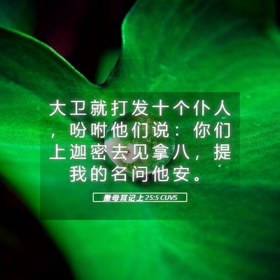 Picture 05 - 撒 母 耳 记 上 25:5 CUVS - 大 卫 就 打 发 十 个 仆 人 ， 吩 咐 - Bible Verse Picture