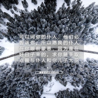 Picture 05 - 撒 母 耳 记 上 25:8 CUVS - 可 以 问 你 的 仆 人 ， 他 们 必 告 - Bible Verse Picture