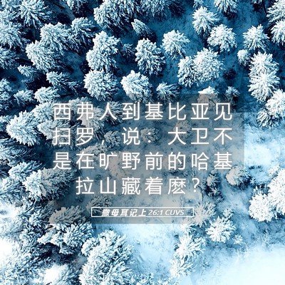 Picture 05 - 撒 母 耳 记 上 26:1 CUVS - 西 弗 人 到 基 比 亚 见 扫 罗 ， 说 - Bible Verse Picture