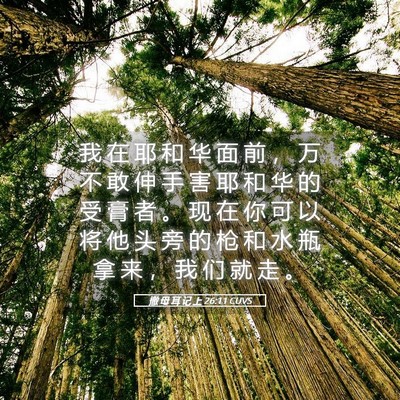 Picture 05 - 撒 母 耳 记 上 26:11 CUVS - 我 在 耶 和 华 面 前 ， 万 不 敢 伸 - Bible Verse Picture