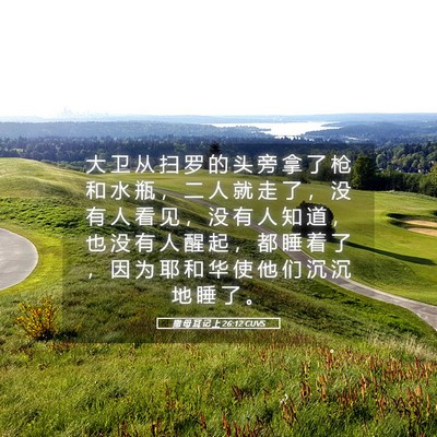Picture 05 - 撒 母 耳 记 上 26:12 CUVS - 大 卫 从 扫 罗 的 头 旁 拿 了 枪 和 - Bible Verse Picture