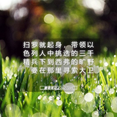 Picture 05 - 撒 母 耳 记 上 26:2 CUVS - 扫 罗 就 起 身 ， 带 领 以 色 列 人 - Bible Verse Picture