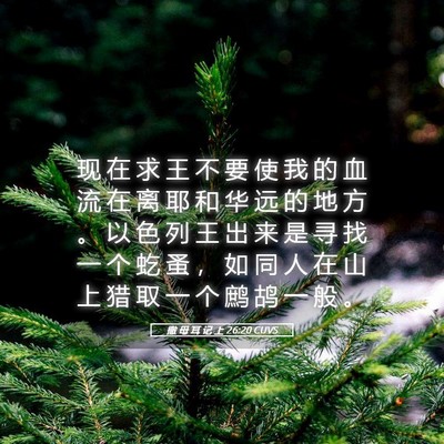 Picture 05 - 撒 母 耳 记 上 26:20 CUVS - 现 在 求 王 不 要 使 我 的 血 流 在 - Bible Verse Picture