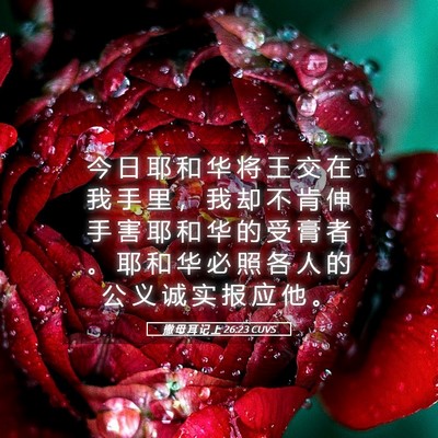 Picture 05 - 撒 母 耳 记 上 26:23 CUVS - 今 日 耶 和 华 将 王 交 在 我 手 里 - Bible Verse Picture