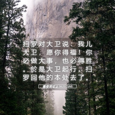 Picture 05 - 撒 母 耳 记 上 26:25 CUVS - 扫 罗 对 大 卫 说 ： 我 儿 大 卫 ， - Bible Verse Picture