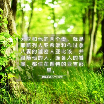 Picture 05 - 撒 母 耳 记 上 27:3 CUVS - 大 卫 和 他 的 两 个 妻 ， 就 是 耶 - Bible Verse Picture