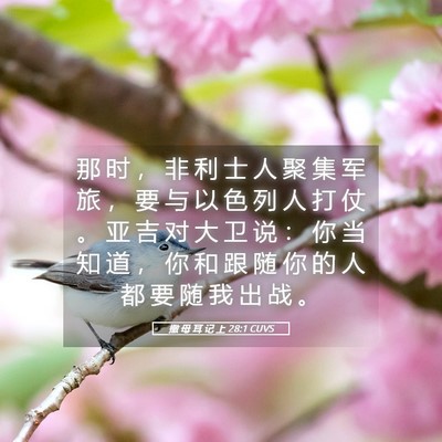 Picture 05 - 撒 母 耳 记 上 28:1 CUVS - 那 时 ， 非 利 士 人 聚 集 军 旅 ， - Bible Verse Picture