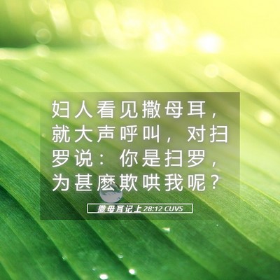 Picture 05 - 撒 母 耳 记 上 28:12 CUVS - 妇 人 看 见 撒 母 耳 ， 就 大 声 呼 - Bible Verse Picture