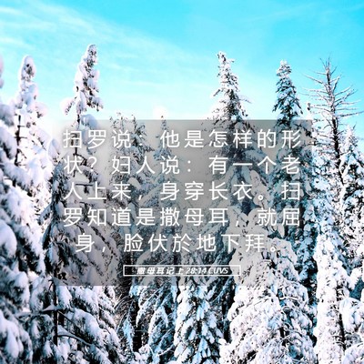 Picture 05 - 撒 母 耳 记 上 28:14 CUVS - 扫 罗 说 ： 他 是 怎 样 的 形 状 ？ - Bible Verse Picture
