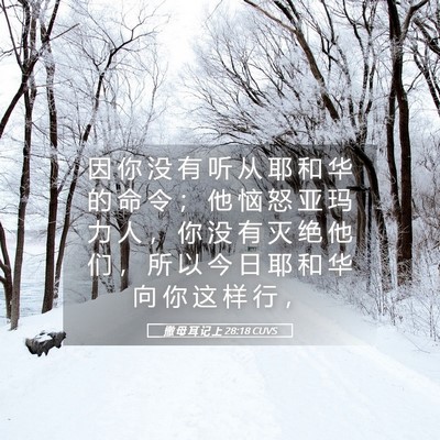 Picture 05 - 撒 母 耳 记 上 28:18 CUVS - 因 你 没 有 听 从 耶 和 华 的 命 令 - Bible Verse Picture