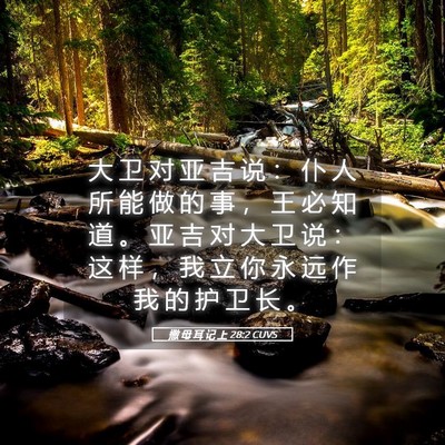 Picture 05 - 撒 母 耳 记 上 28:2 CUVS - 大 卫 对 亚 吉 说 ： 仆 人 所 能 做 - Bible Verse Picture