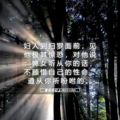 Picture 05 - 撒 母 耳 记 上 28:21 CUVS - 妇 人 到 扫 罗 面 前 ， 见 他 极 其 - Bible Verse Picture