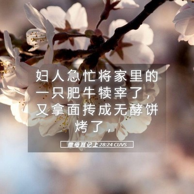Picture 05 - 撒 母 耳 记 上 28:24 CUVS - 妇 人 急 忙 将 家 里 的 一 只 肥 牛 - Bible Verse Picture