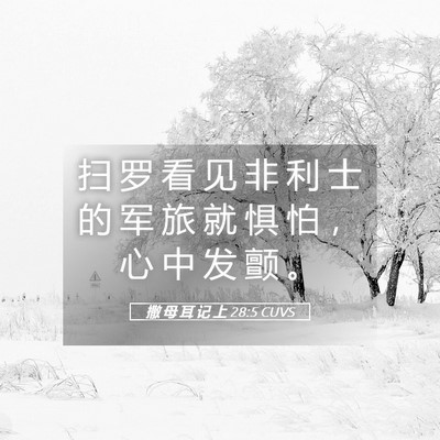 Picture 05 - 撒 母 耳 记 上 28:5 CUVS - 扫 罗 看 见 非 利 士 的 军 旅 就 惧 - Bible Verse Picture