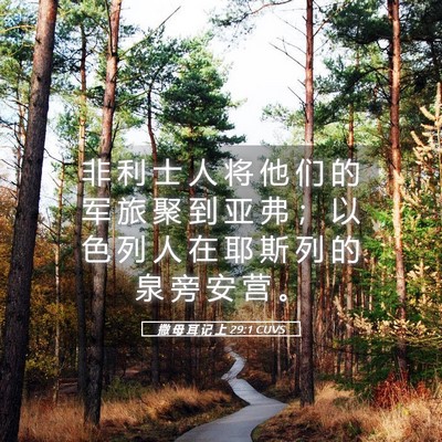 Picture 05 - 撒 母 耳 记 上 29:1 CUVS - 非 利 士 人 将 他 们 的 军 旅 聚 到 - Bible Verse Picture