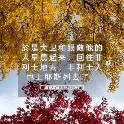 Picture 05 - 撒 母 耳 记 上 29:11 CUVS - 於 是 大 卫 和 跟 随 他 的 人 早 晨 - Bible Verse Picture