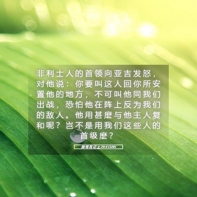 Picture 05 - 撒 母 耳 记 上 29:4 CUVS - 非 利 士 人 的 首 领 向 亚 吉 发 怒 - Bible Verse Picture