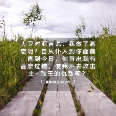 Picture 05 - 撒 母 耳 记 上 29:8 CUVS - 大 卫 对 亚 吉 说 ： 我 做 了 甚 麽 - Bible Verse Picture