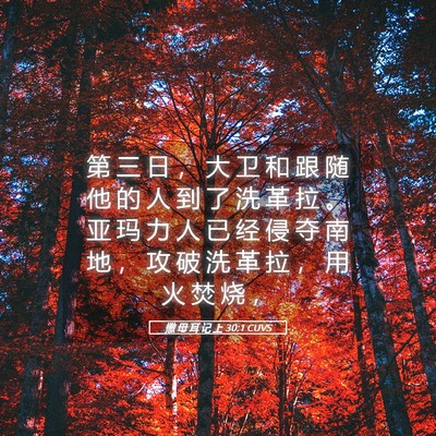 Picture 05 - 撒 母 耳 记 上 30:1 CUVS - 第 三 日 ， 大 卫 和 跟 随 他 的 人 - Bible Verse Picture