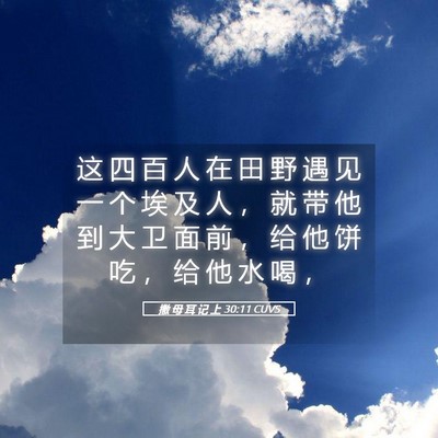 Picture 05 - 撒 母 耳 记 上 30:11 CUVS - 这 四 百 人 在 田 野 遇 见 一 个 埃 - Bible Verse Picture