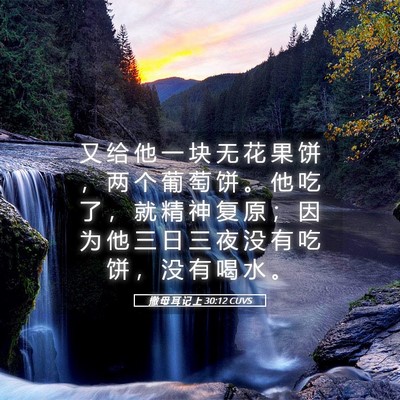 Picture 05 - 撒 母 耳 记 上 30:12 CUVS - 又 给 他 一 块 无 花 果 饼 ， 两 个 - Bible Verse Picture