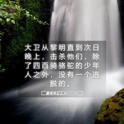 Picture 05 - 撒 母 耳 记 上 30:17 CUVS - 大 卫 从 黎 明 直 到 次 日 晚 上 ， - Bible Verse Picture