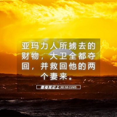 Picture 05 - 撒 母 耳 记 上 30:18 CUVS - 亚 玛 力 人 所 掳 去 的 财 物 ， 大 - Bible Verse Picture