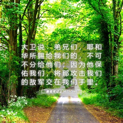 Picture 05 - 撒 母 耳 记 上 30:23 CUVS - 大 卫 说 ： 弟 兄 们 ， 耶 和 华 所 - Bible Verse Picture