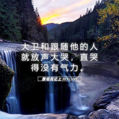 Picture 05 - 撒 母 耳 记 上 30:4 CUVS - 大 卫 和 跟 随 他 的 人 就 放 声 大 - Bible Verse Picture