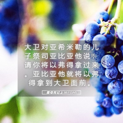 Picture 05 - 撒 母 耳 记 上 30:7 CUVS - 大 卫 对 亚 希 米 勒 的 儿 子 祭 司 - Bible Verse Picture