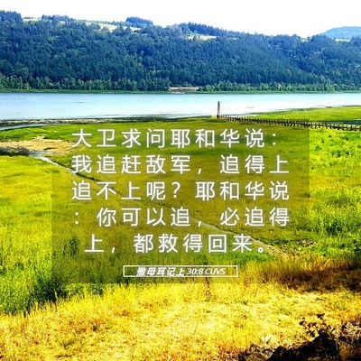 Picture 05 - 撒 母 耳 记 上 30:8 CUVS - 大 卫 求 问 耶 和 华 说 ： 我 追 赶 - Bible Verse Picture