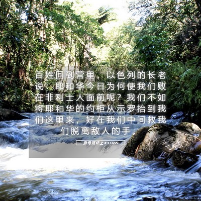 Picture 05 - 撒 母 耳 记 上 4:3 CUVS - 百 姓 回 到 营 里 ， 以 色 列 的 长 - Bible Verse Picture