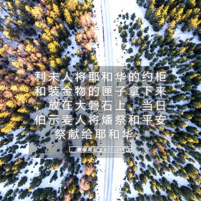 Picture 05 - 撒 母 耳 记 上 6:15 CUVS - 利 未 人 将 耶 和 华 的 约 柜 和 装 - Bible Verse Picture