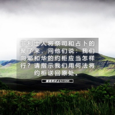 Picture 05 - 撒 母 耳 记 上 6:2 CUVS - 非 利 士 人 将 祭 司 和 占 卜 的 聚 - Bible Verse Picture