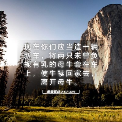 Picture 05 - 撒 母 耳 记 上 6:7 CUVS - 现 在 你 们 应 当 造 一 辆 新 车 ， - Bible Verse Picture
