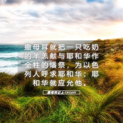 Picture 05 - 撒 母 耳 记 上 7:9 CUVS - 撒 母 耳 就 把 一 只 吃 奶 的 羊 羔 - Bible Verse Picture