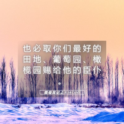 Picture 05 - 撒 母 耳 记 上 8:14 CUVS - 也 必 取 你 们 最 好 的 田 地 、 葡 - Bible Verse Picture