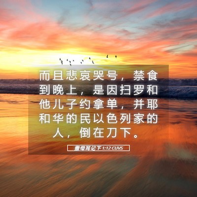 Picture 05 - 撒 母 耳 记 下 1:12 CUVS - 而 且 悲 哀 哭 号 ， 禁 食 到 晚 上 - Bible Verse Picture