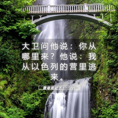 Picture 05 - 撒 母 耳 记 下 1:3 CUVS - 大 卫 问 他 说 ： 你 从 哪 里 来 ？ - Bible Verse Picture