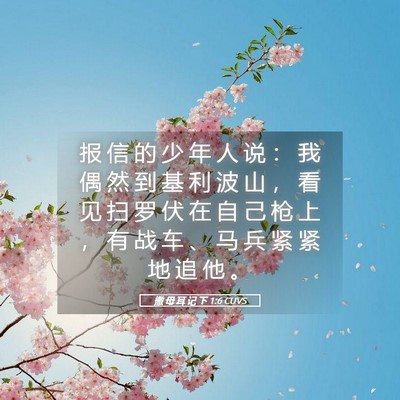 Picture 05 - 撒 母 耳 记 下 1:6 CUVS - 报 信 的 少 年 人 说 ： 我 偶 然 到 - Bible Verse Picture