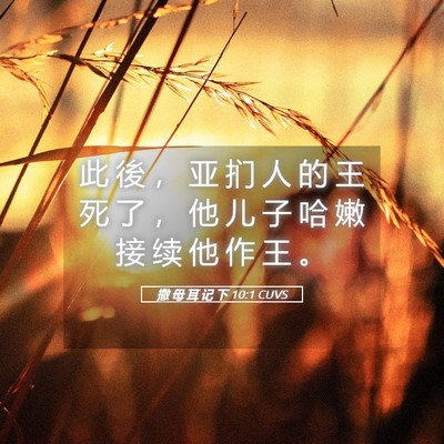 Picture 05 - 撒 母 耳 记 下 10:1 CUVS - 此 後 ， 亚 扪 人 的 王 死 了 ， 他 - Bible Verse Picture