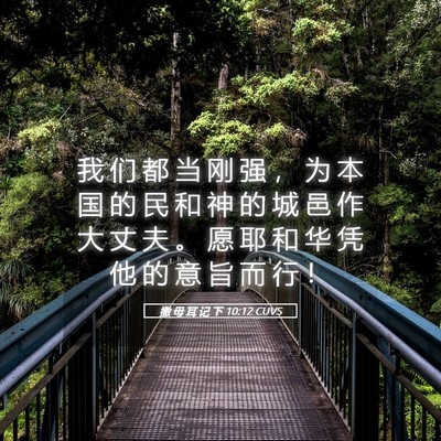 Picture 05 - 撒 母 耳 记 下 10:12 CUVS - 我 们 都 当 刚 强 ， 为 本 国 的 民 - Bible Verse Picture