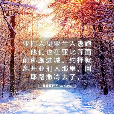 Picture 05 - 撒 母 耳 记 下 10:14 CUVS - 亚 扪 人 见 亚 兰 人 逃 跑 ， 他 们 - Bible Verse Picture