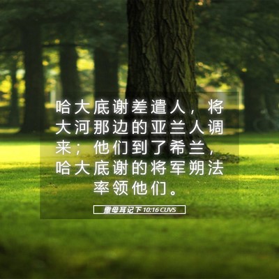 Picture 05 - 撒 母 耳 记 下 10:16 CUVS - 哈 大 底 谢 差 遣 人 ， 将 大 河 那 - Bible Verse Picture