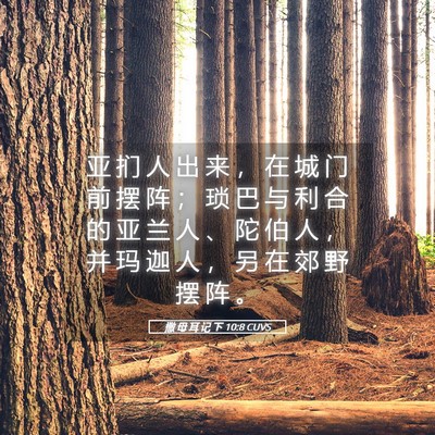 Picture 05 - 撒 母 耳 记 下 10:8 CUVS - 亚 扪 人 出 来 ， 在 城 门 前 摆 阵 - Bible Verse Picture
